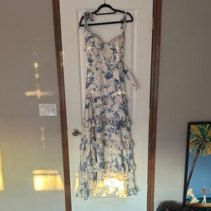V. Chapman Cream and Blue Floral Maxi Dress